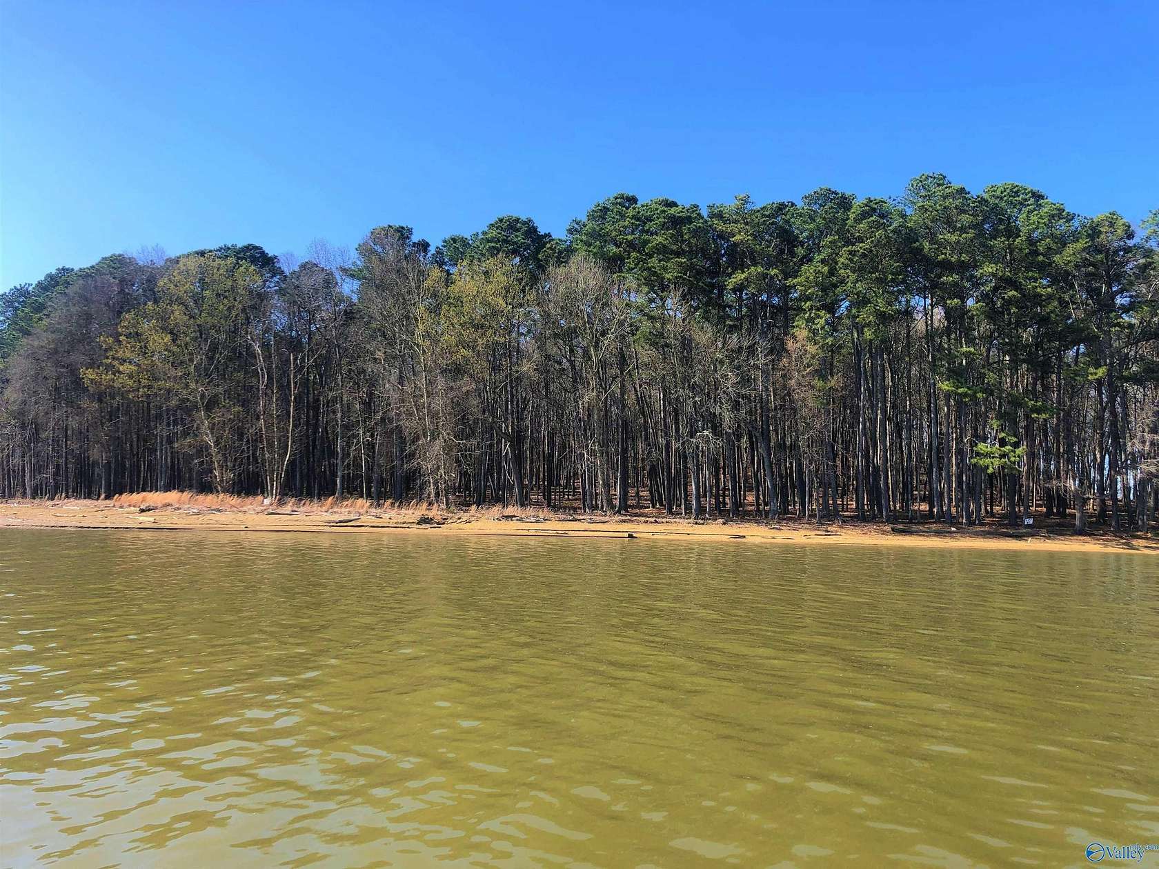 0.54 Acres of Residential Land for Sale in Cedar Bluff, Alabama