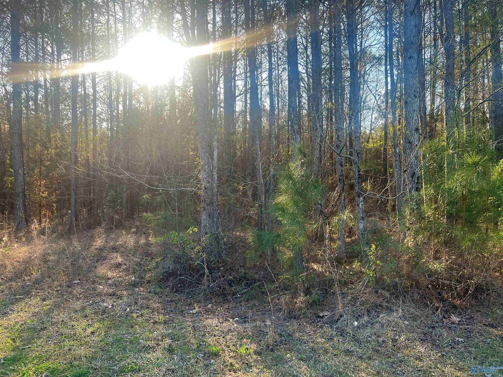 0.71 Acres of Land for Sale in Cedar Bluff, Alabama