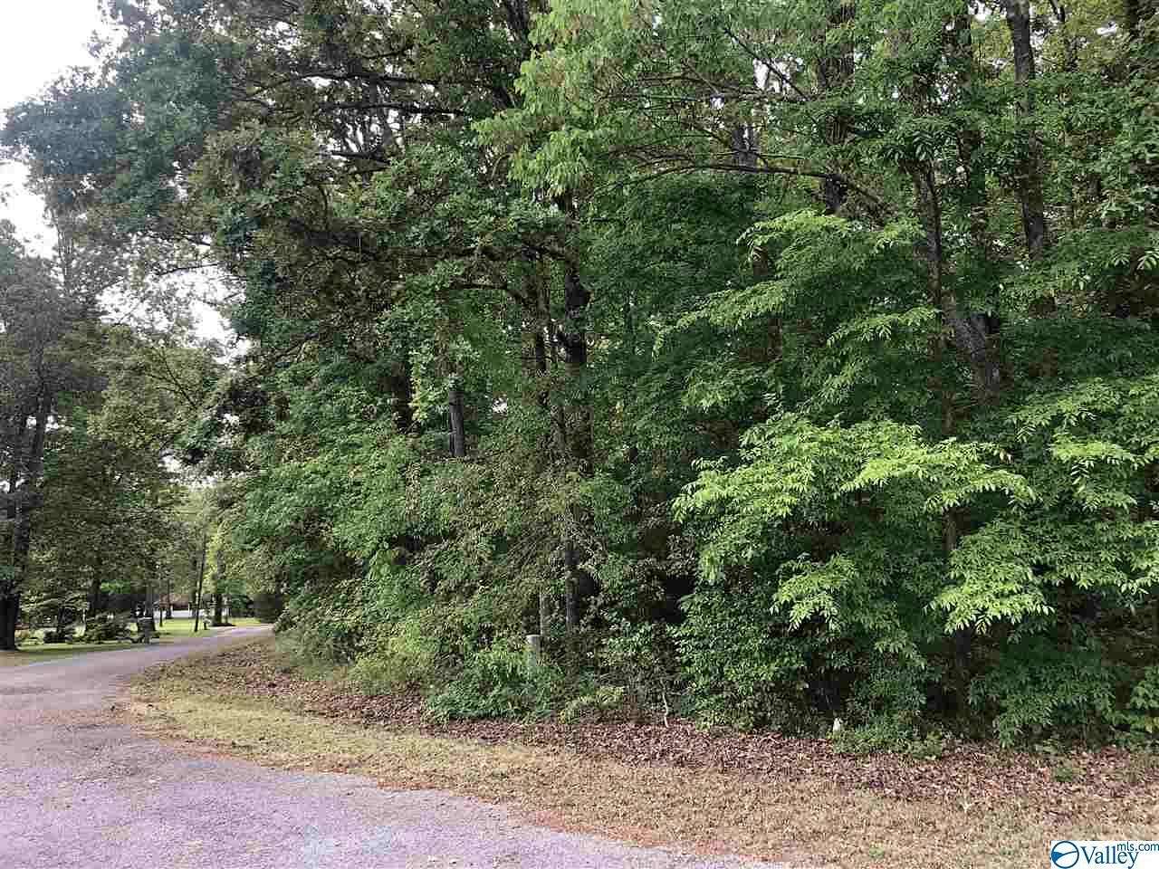 1.2 Acres of Residential Land for Sale in Cedar Bluff, Alabama