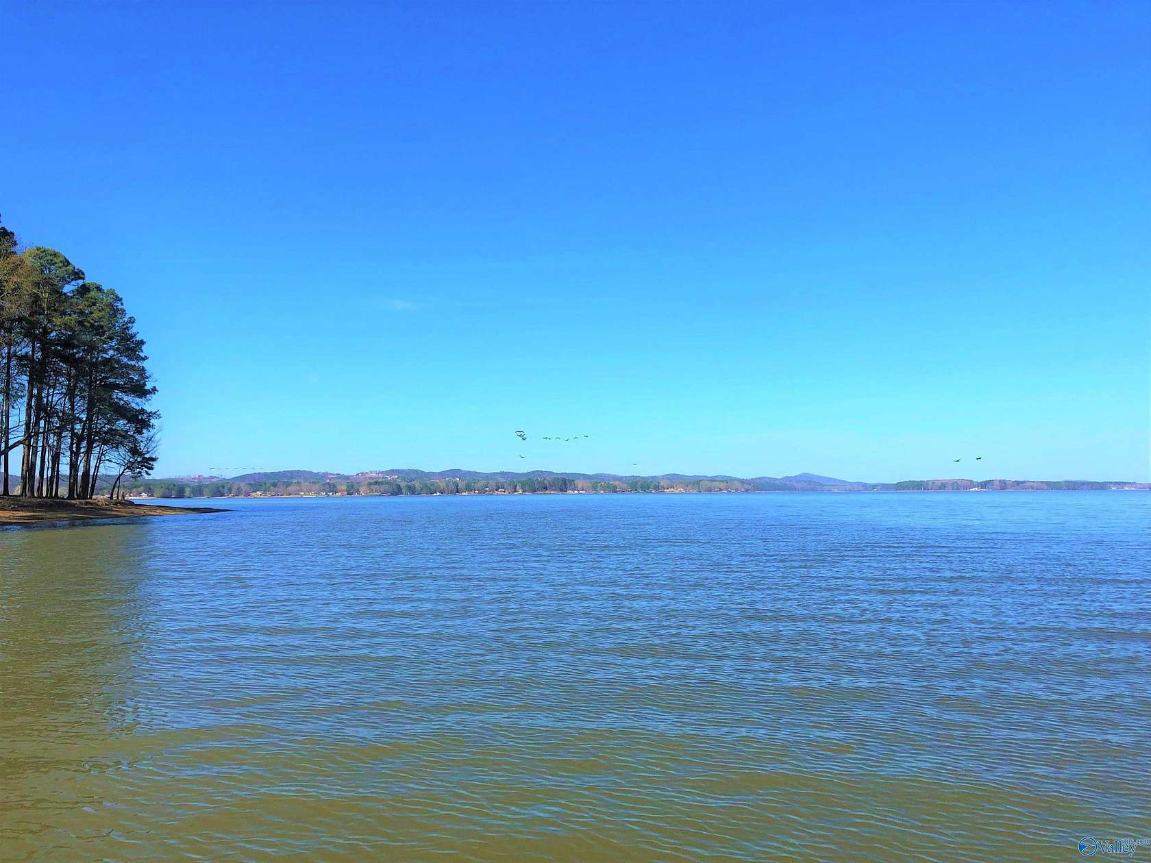 0.56 Acres of Land for Sale in Cedar Bluff, Alabama