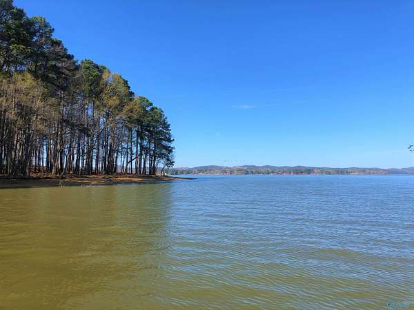 1.45 Acres of Land for Sale in Cedar Bluff, Alabama
