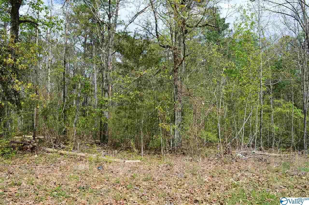 0.51 Acres of Residential Land for Sale in Cedar Bluff, Alabama