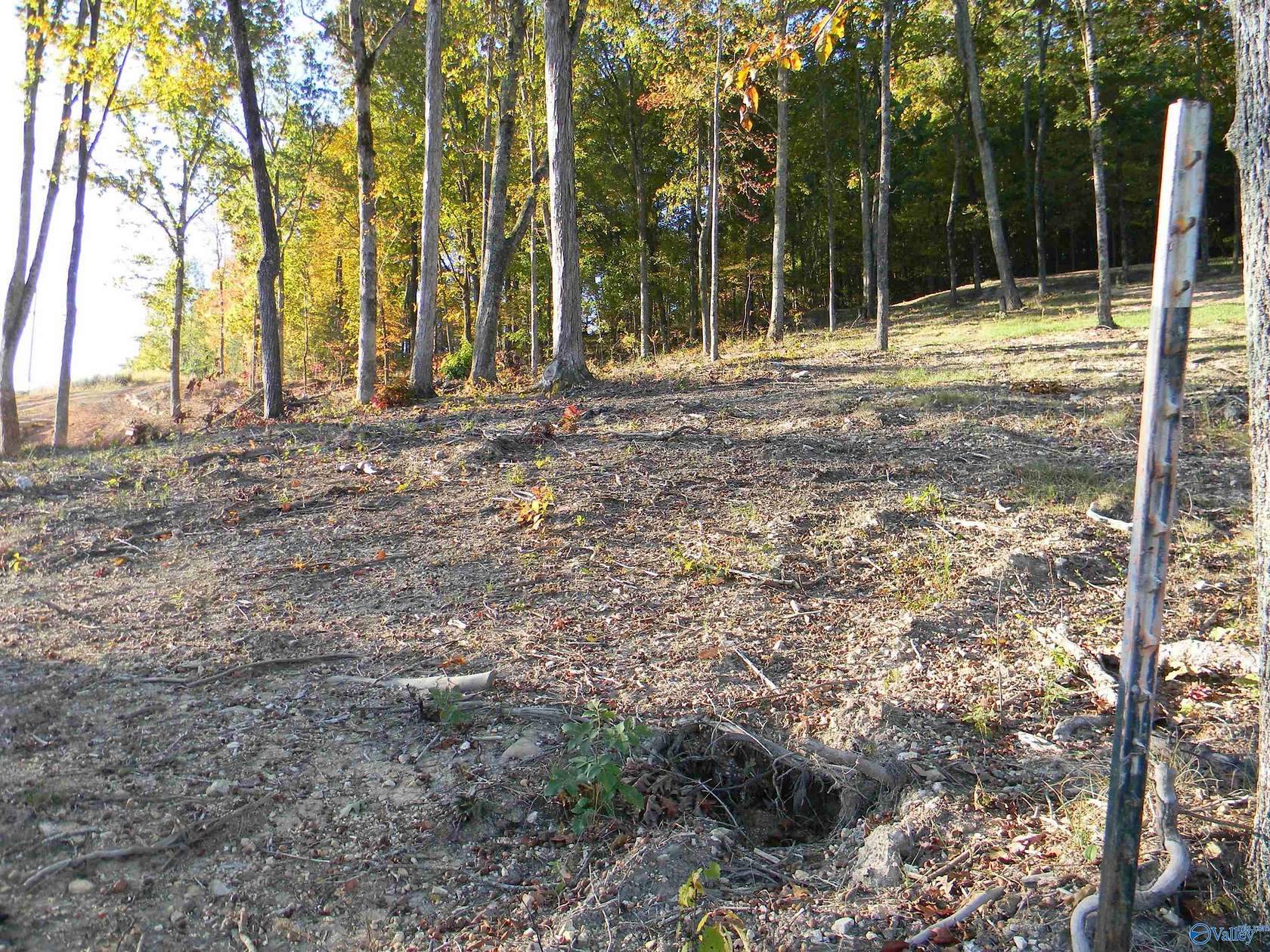 0.56 Acres of Residential Land for Sale in Centre, Alabama