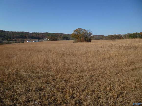 36 Acres of Commercial Land for Sale in Fort Payne, Alabama