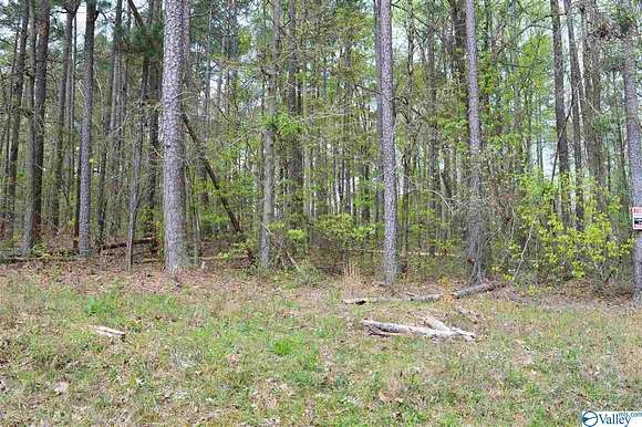 0.49 Acres of Residential Land for Sale in Cedar Bluff, Alabama