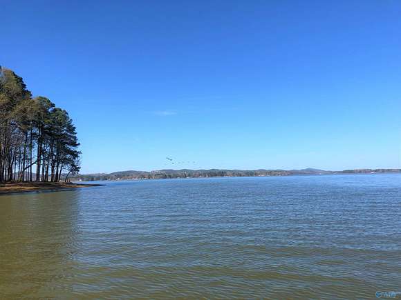 0.79 Acres of Residential Land for Sale in Cedar Bluff, Alabama
