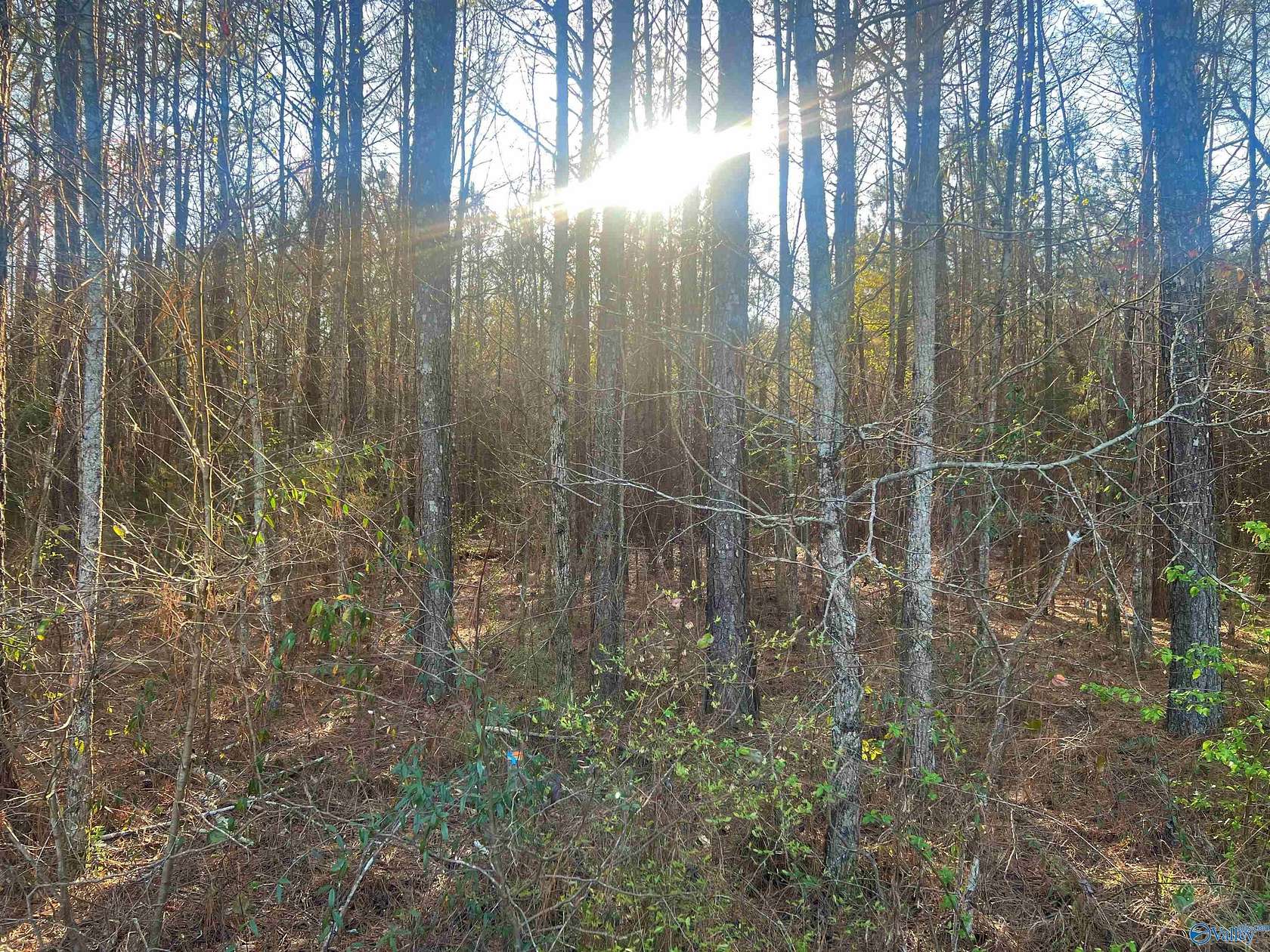 0.77 Acres of Land for Sale in Cedar Bluff, Alabama