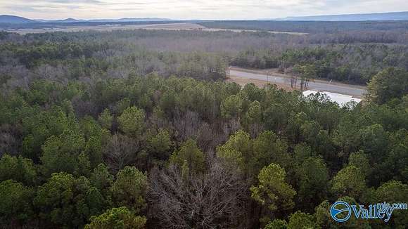 19 Acres of Commercial Land for Sale in Rainbow City, Alabama