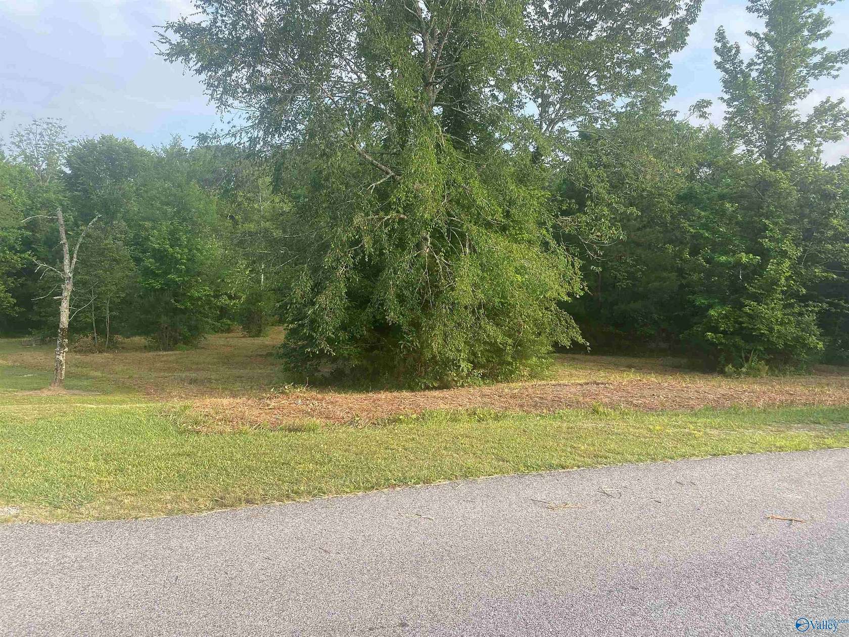 1 Acre of Residential Land for Sale in Hokes Bluff, Alabama