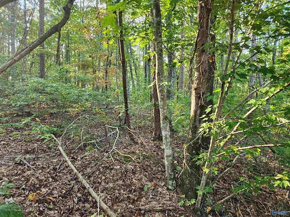 3.72 Acres of Residential Land for Sale in Flat Rock, Alabama