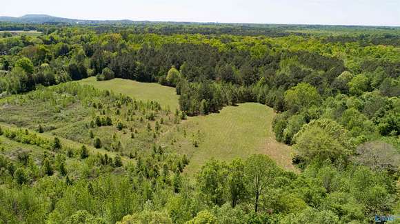 54 Acres of Recreational Land for Sale in Toney, Alabama