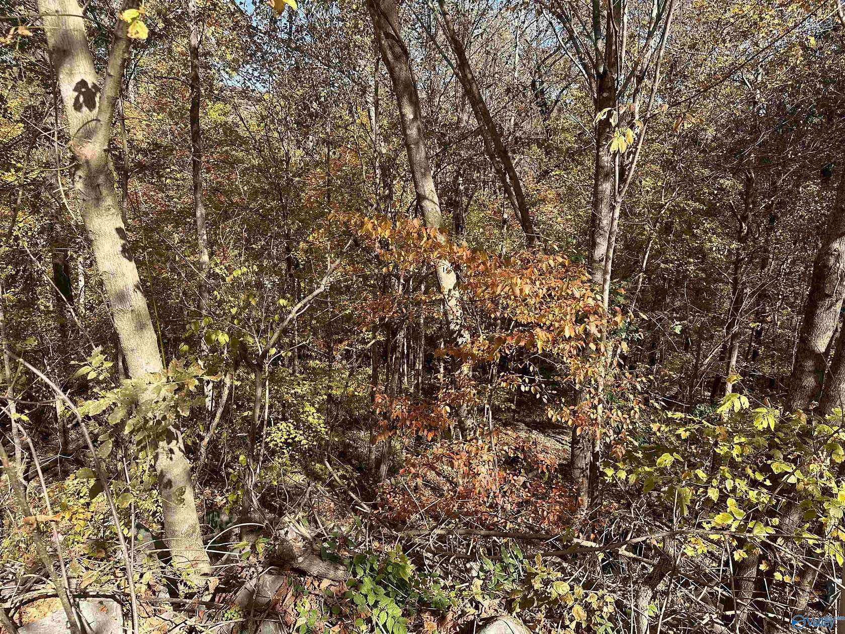 0.93 Acres of Residential Land for Sale in Brownsboro, Alabama