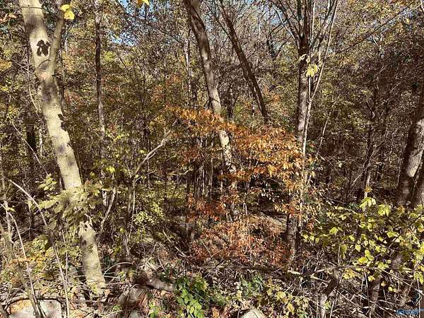 0.93 Acres of Residential Land for Sale in Brownsboro, Alabama