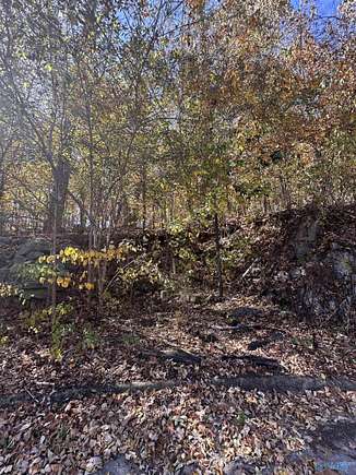 0.5 Acres of Land for Sale in Brownsboro, Alabama