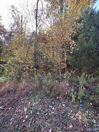 0.41 Acres of Residential Land for Sale in Brownsboro, Alabama