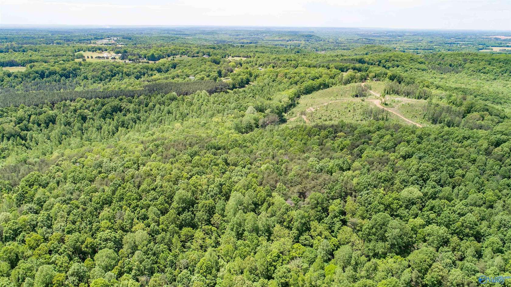 110 Acres of Recreational Land for Sale in Town Creek, Alabama