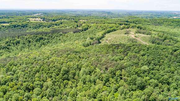 110 Acres of Recreational Land for Sale in Town Creek, Alabama