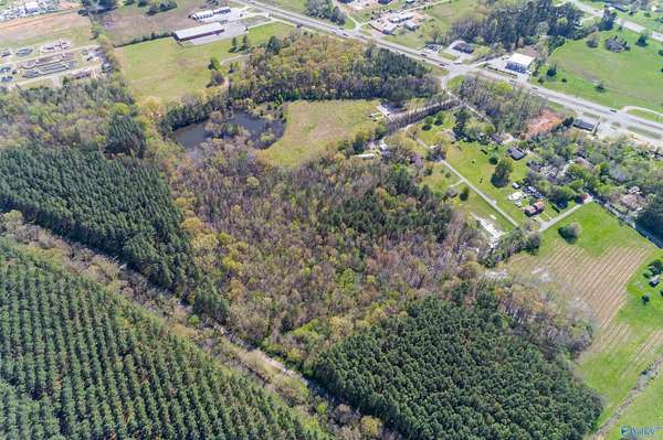 13.2 Acres of Land for Sale in Owens Cross Roads, Alabama