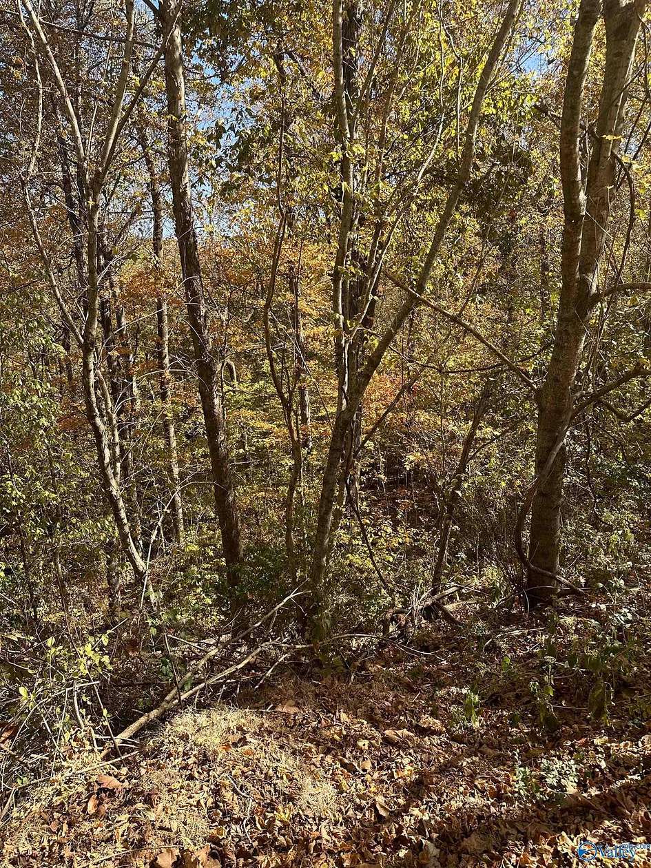 0.93 Acres of Residential Land for Sale in Brownsboro, Alabama