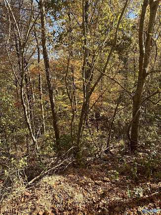 0.93 Acres of Residential Land for Sale in Brownsboro, Alabama