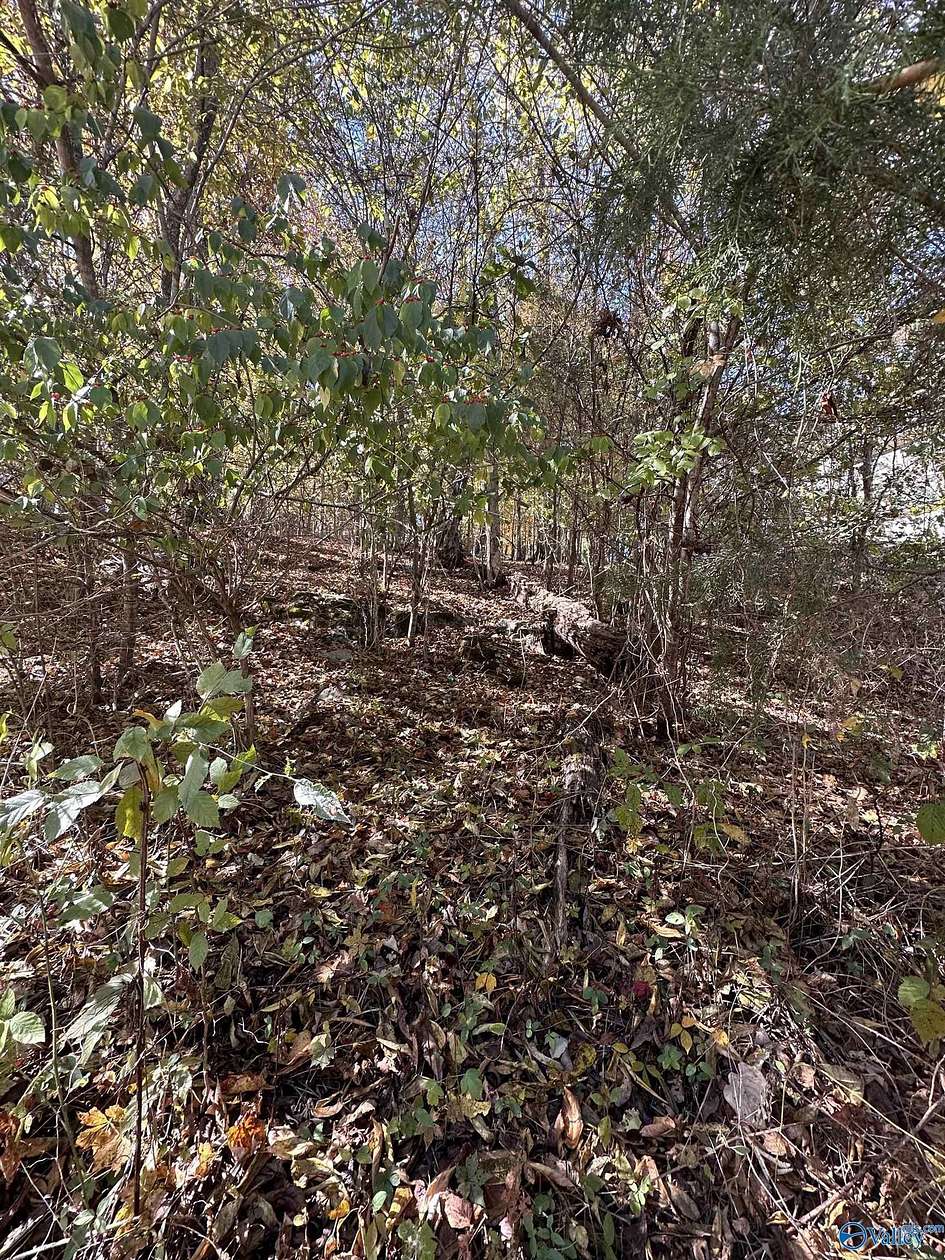 0.43 Acres of Land for Sale in Brownsboro, Alabama