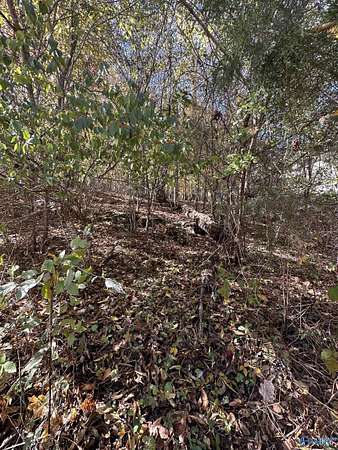 0.43 Acres of Land for Sale in Brownsboro, Alabama