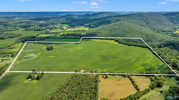 170 Acres of Agricultural Land for Sale in Scottsboro, Alabama