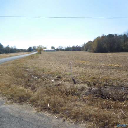 29 Acres of Agricultural Land for Sale in Pisgah, Alabama