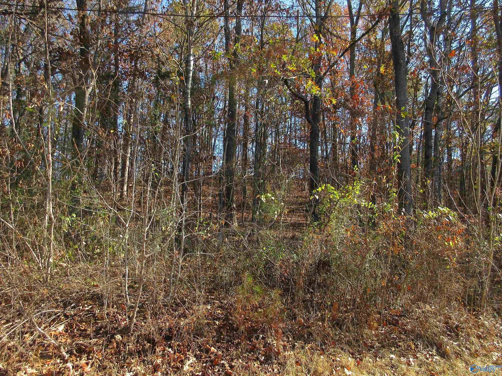 0.5 Acres of Land for Sale in Scottsboro, Alabama