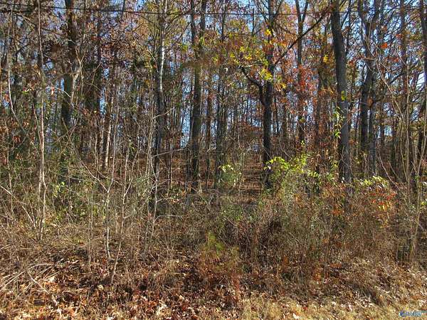 0.5 Acres of Land for Sale in Scottsboro, Alabama