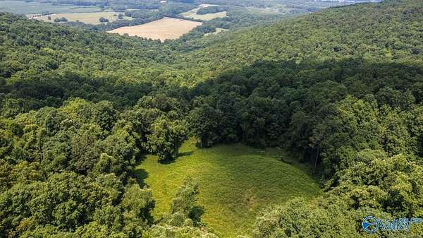 158 Acres of Recreational Land for Sale in Flat Rock, Alabama