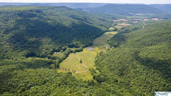 1,435 Acres of Land for Sale in Princeton, Alabama