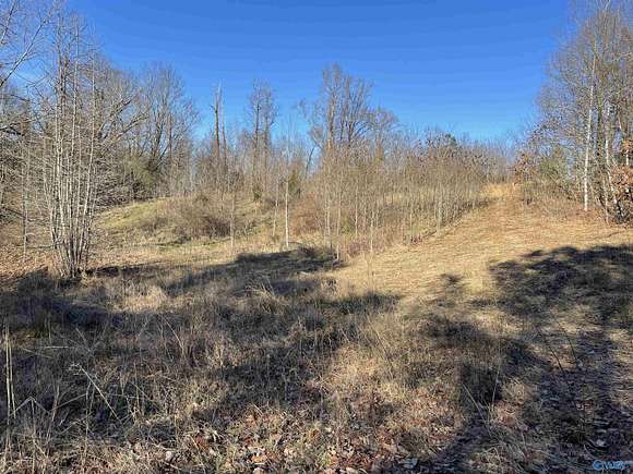 229 Acres of Recreational Land for Sale in Stevenson, Alabama