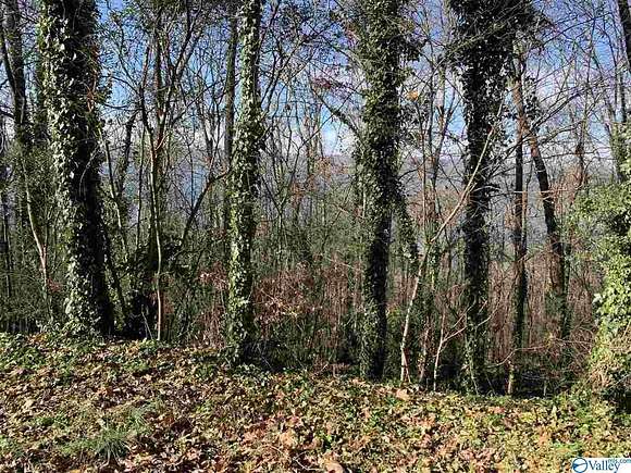 0.5 Acres of Residential Land for Sale in Guntersville, Alabama