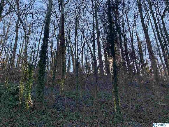 0.61 Acres of Residential Land for Sale in Guntersville, Alabama