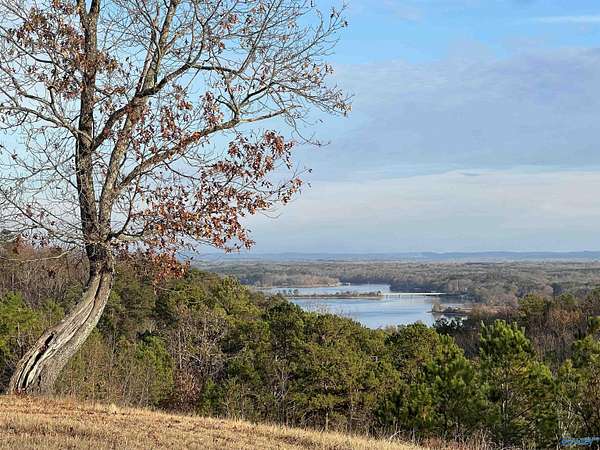2.26 Acres of Residential Land for Sale in Cedar Bluff, Alabama