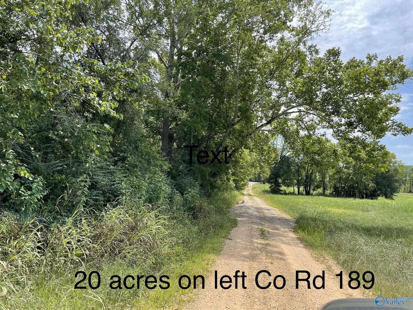 20 Acres of Land for Sale in Moulton, Alabama