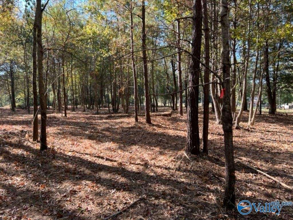 1 Acre of Land for Sale in Somerville, Alabama