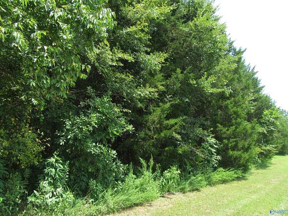 0.62 Acres of Land for Sale in Danville, Alabama