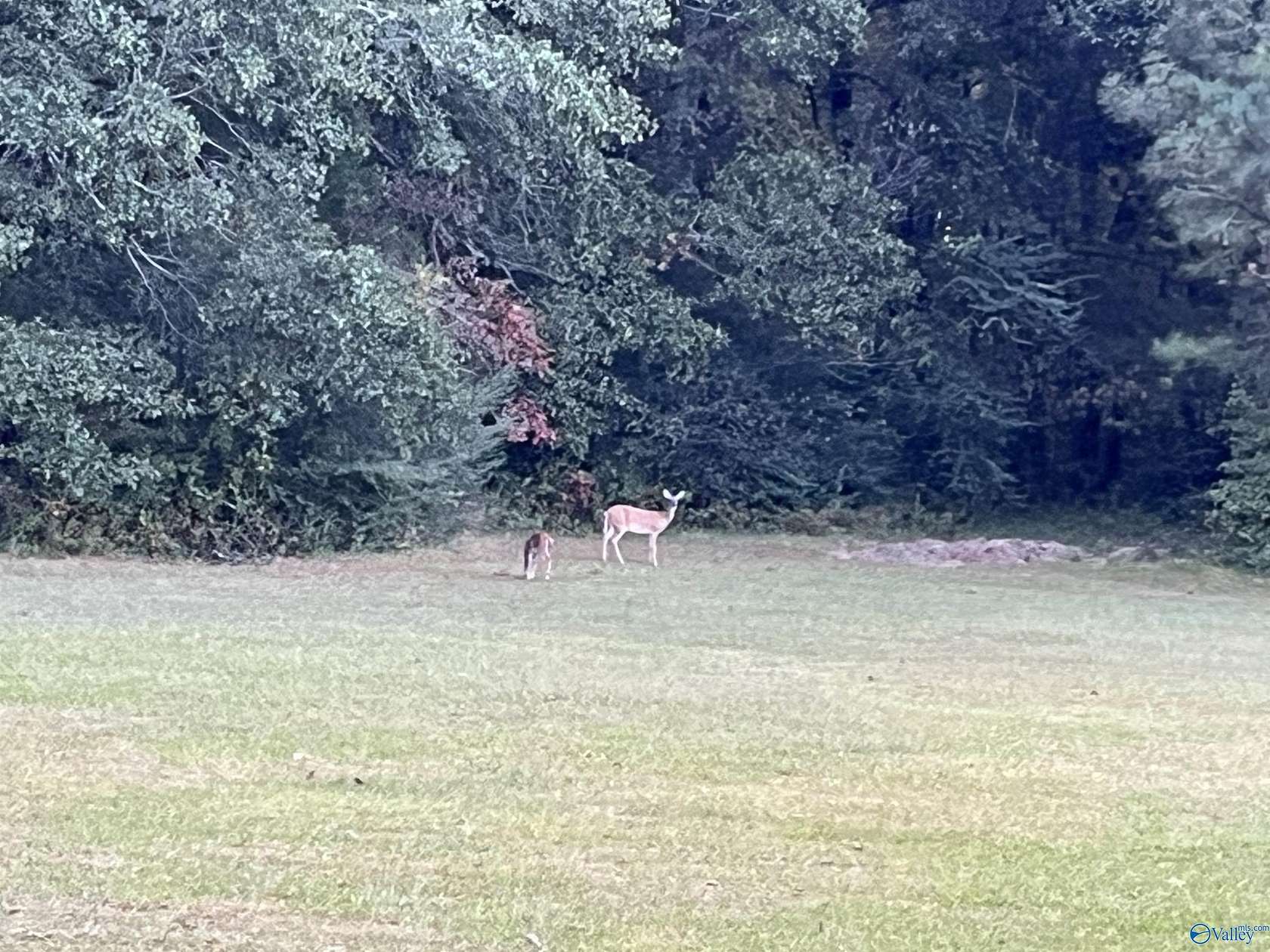 22 Acres of Land for Sale in Decatur, Alabama