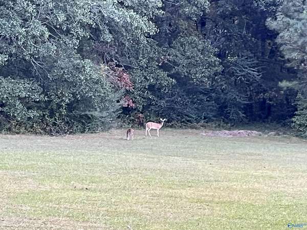 22 Acres of Land for Sale in Decatur, Alabama