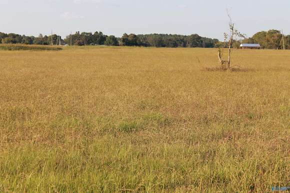 2.3 Acres of Residential Land for Sale in Falkville, Alabama
