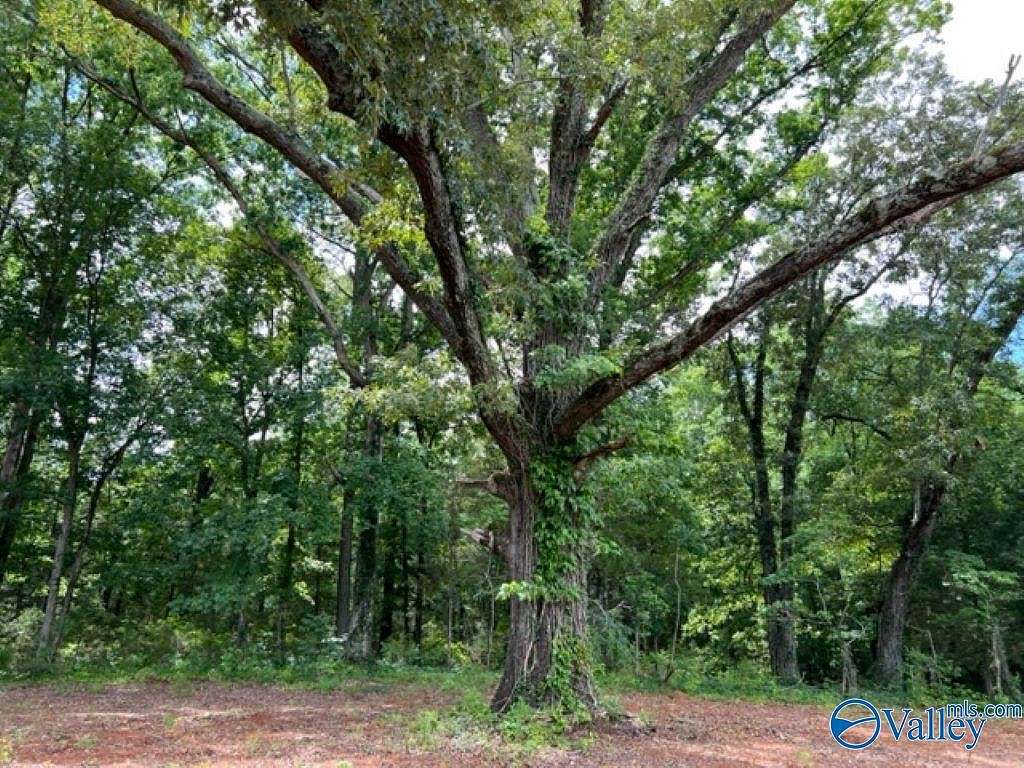 0.5 Acres of Land for Sale in Somerville, Alabama