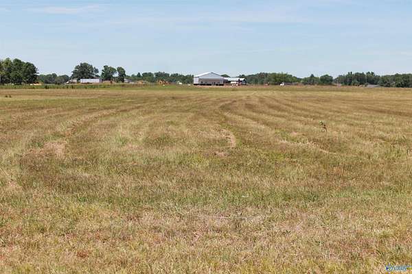 3 Acres of Residential Land for Sale in Falkville, Alabama