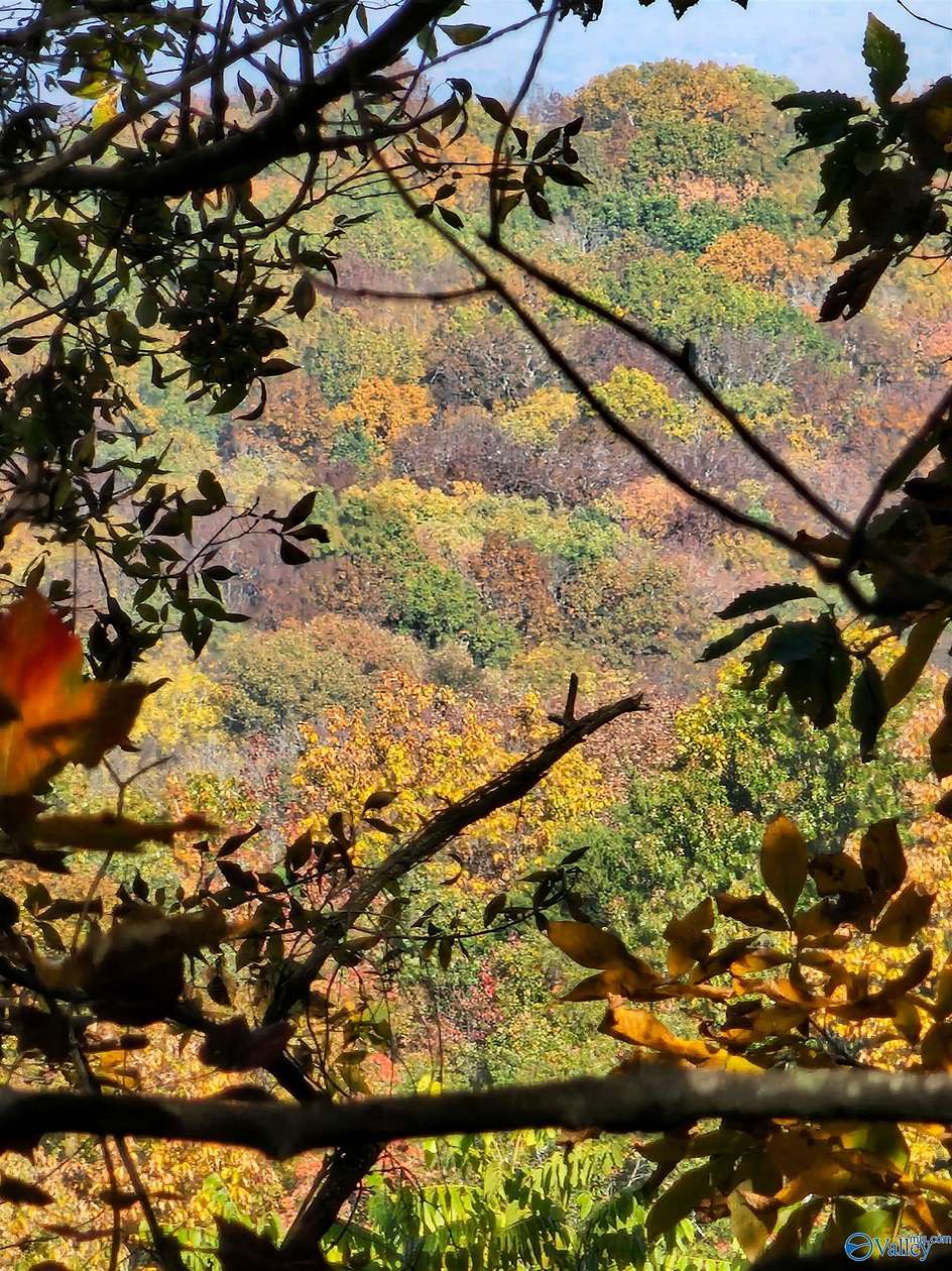 22.4 Acres of Recreational Land for Sale in Moulton, Alabama