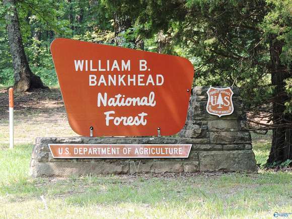 22.4 Acres of Recreational Land for Sale in Moulton, Alabama