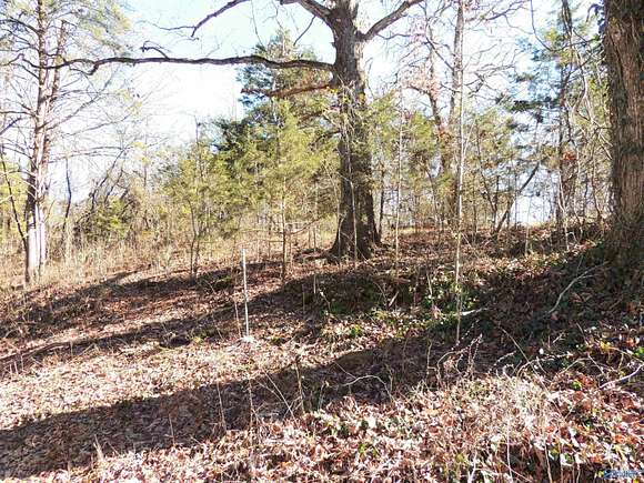 22.4 Acres of Recreational Land for Sale in Moulton, Alabama