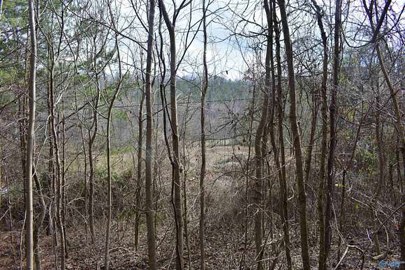 4.8 Acres of Land for Sale in Fort Payne, Alabama