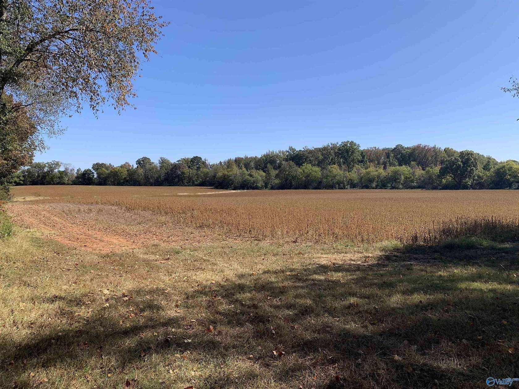 10 Acres of Land for Sale in Madison, Alabama