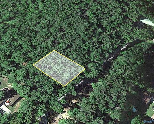 0.34 Acres of Land for Sale in Valley Head, Alabama